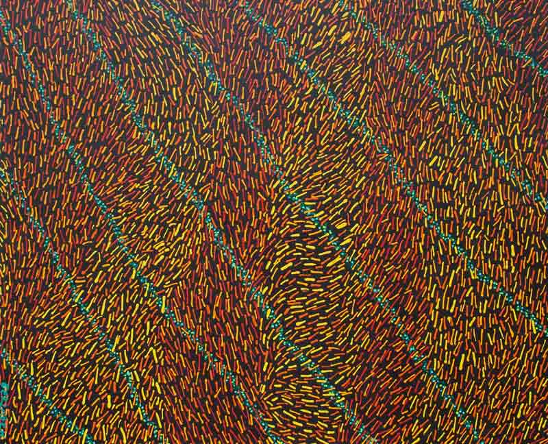 blowing wind abstract patterns painting homage to aboriginal art